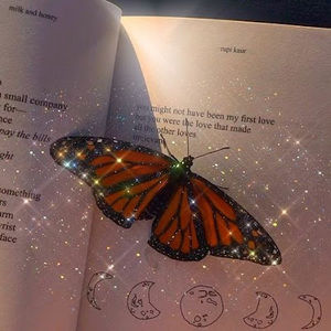 Meet your Posher, Jurnee